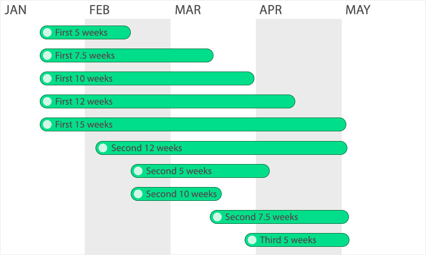 gantt chart showing months and class sessions