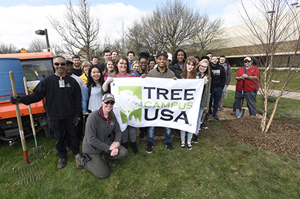 Lon Horwedel Students helped the facilities management team plant a river birch tree in front of the Morris Lawrence Building the day after the college received Tree Campus USA certification.